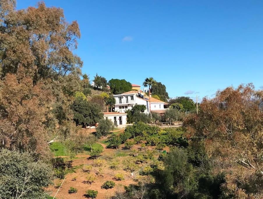 Penthouse Apartment, Cortijo Fruitful Hills Málaga Exteriör bild